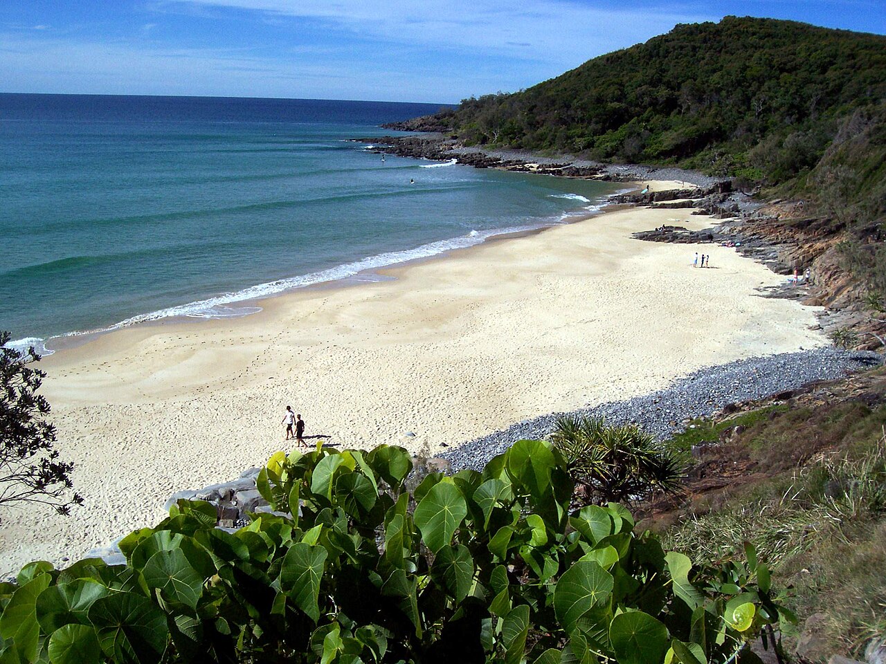 Coastal headland and turquoise waters at Noosa National Park